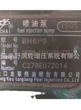 适用玉柴喷油泵BH6P9 1503E C3000 和1507B C5000和 1505  C6000