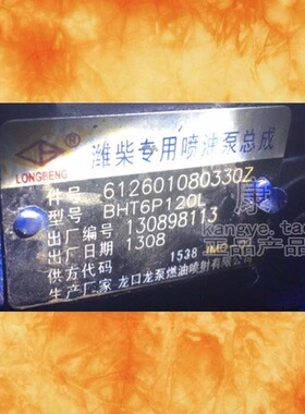 泵62601080330Z 2048Z和13054633 B4AD520A6和13060942 B6PN538A1