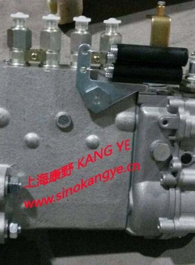 原装喷油泵 4PL122和 4PL344 4G33T-180001J 和4PL336和4PL1312