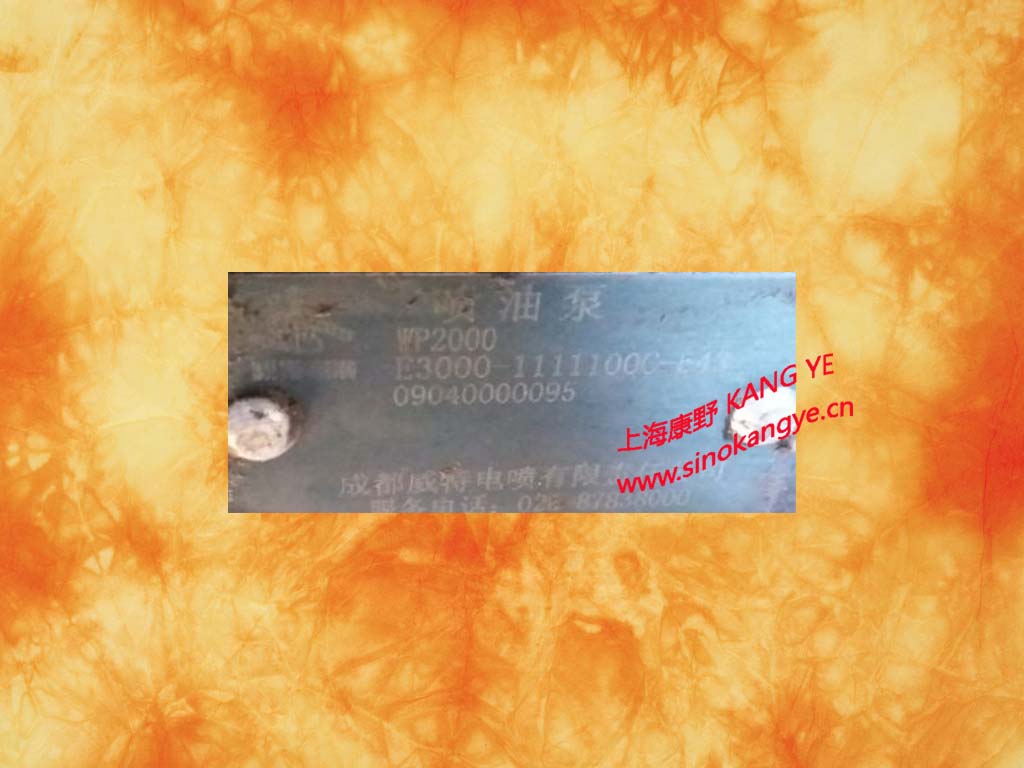 配成都威特喷油泵总成 WP2000 E3000-1111100C-543