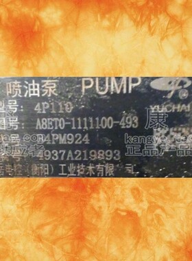 喷油泵A8ET0- B4PM924和10403544105 1PQ601和B4PM907A8 F1200-