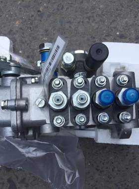 原装喷油泵BQ2000/BH4QT90R9 TF451Z-1和 4TQE23和4QTD1069