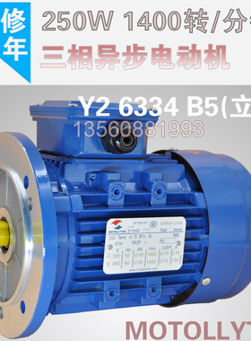 MOTOLLYTHE YS6334三相异步电动机 250w 1400转铝壳全铜电机 联正