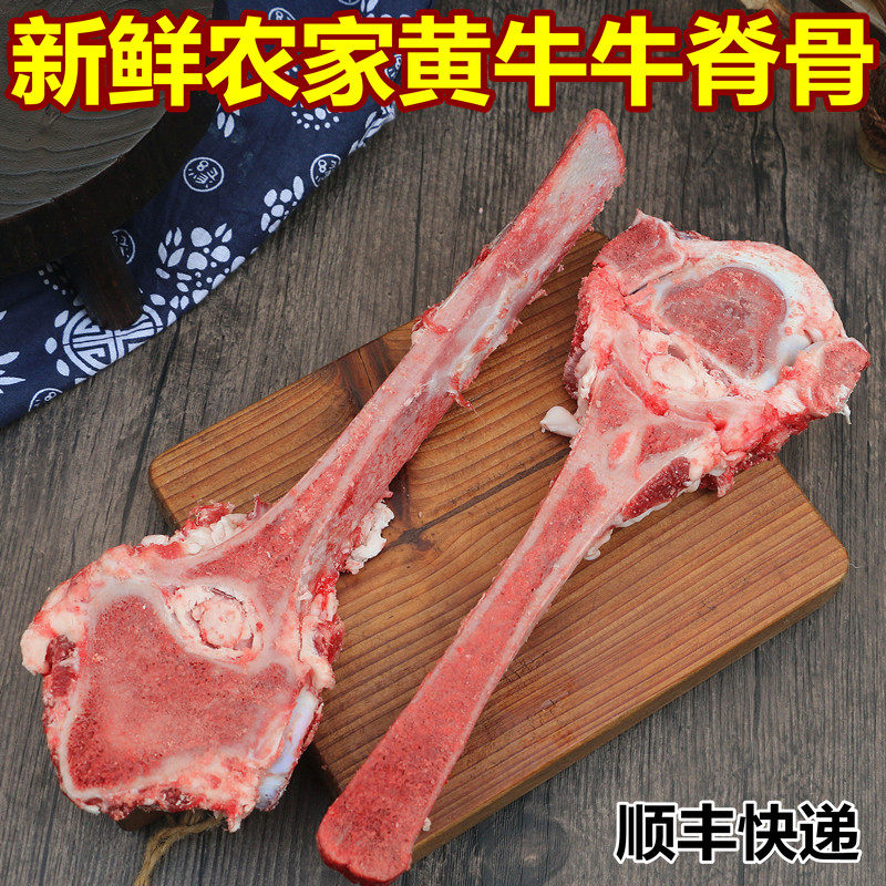 新鲜牛脊骨 牛蝎子骨正宗黄牛大骨 牛脖子骨 不带肉牛脊柱骨