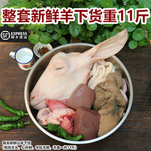 新鲜生羊杂 整套羊下货11斤山羊下水 羊头羊心肝肺羊肚羊肠羊血