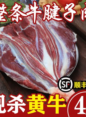 新鲜牛腱子3-4斤装整条牛腱农家散养黄牛肉牛腱肉腱弧新鲜生牛肉