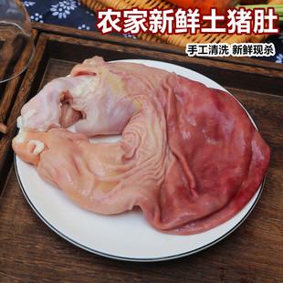 一个1 新鲜土猪肚 1.2斤重 农家新鲜整个 猪胃 生猪肚 猪肚 500g