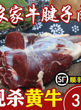 整个牛腱包邮新鲜整条牛腱子