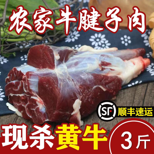 整个牛腱 包邮 新鲜整条牛腱子腱弧黄牛肉现杀生牛肉金钱腱酱牛肉 - 封面
