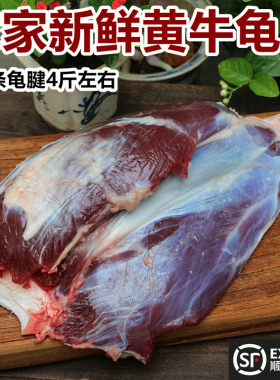 整个龟腱4斤重农家散养土黄牛肉