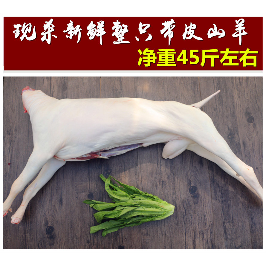整只全羊带皮去皮山羊重45-50斤