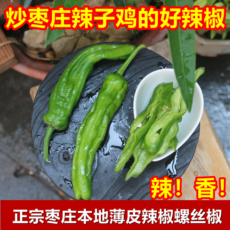 正宗枣庄本地薄皮辣椒螺丝椒