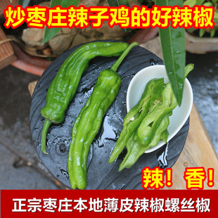 正宗枣庄本地薄皮辣椒 螺丝椒 炒枣庄辣子鸡 辣 香 鲜