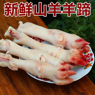 新鲜羊蹄子 500g整根山羊蹄子当天现杀生羊蹄 另有羊肚羊杂山羊肉