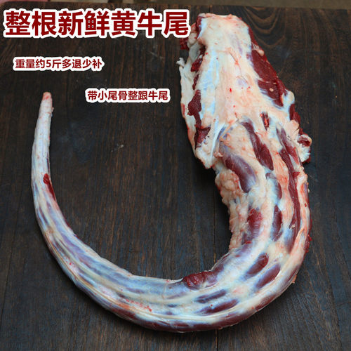 新鲜黄牛整根牛尾巴带少量尾椎骨