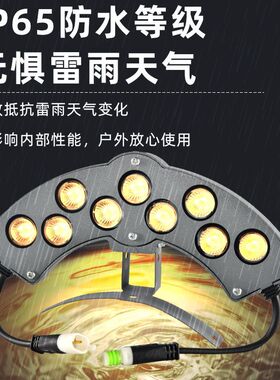 led古建筑瓦楞灯瓦檐灯户外防水寺庙凉亭屋顶瓦片灯24V3W仿古瓦灯