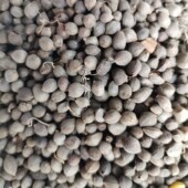 太白米秦岭高海拔珍贵正品 药材30克胃不舒服每次几颗明显感觉效果