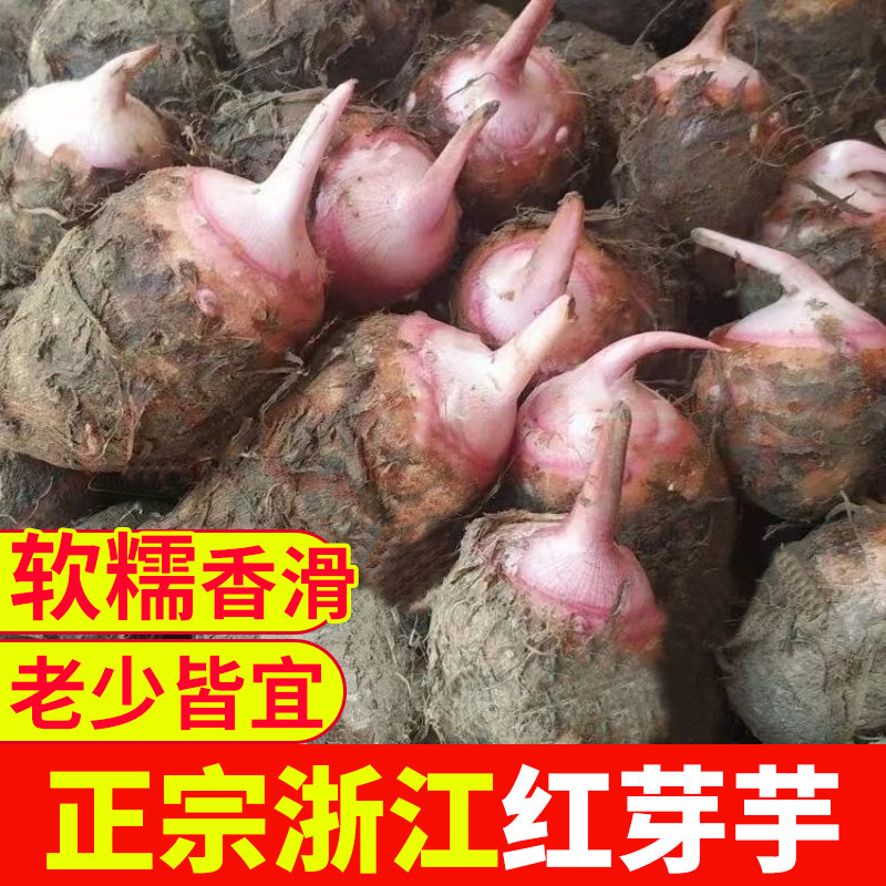 浙江红芽芋头牛奶芋艿小芋头软糯芋头
