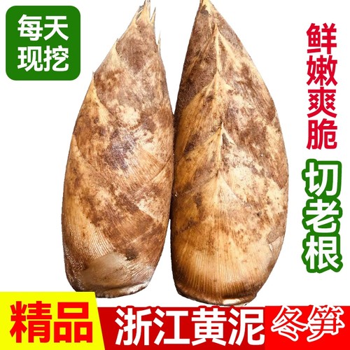 浙江冬笋新鲜笋现挖大降价了！