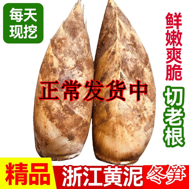 浙江冬笋新鲜正宗现挖鲜竹笋衢州临安火锅毛笋配菜野生商用去老根
