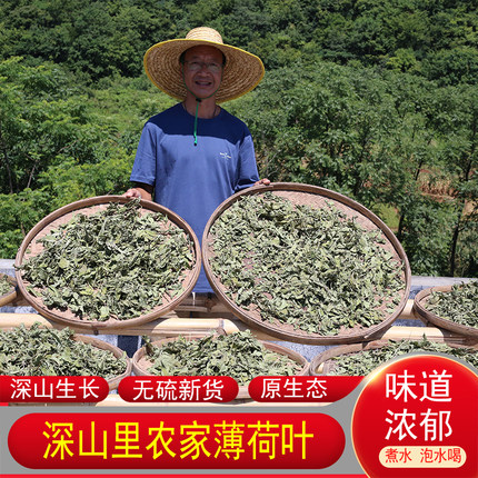 薄荷叶正品药材农家新鲜自晒香浓清凉解暑提神食用泡茶花草茶正宗