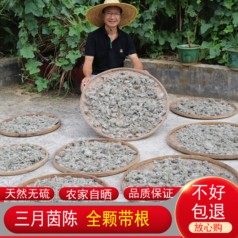 绵茵陈深山干药材农家自晒草药正品泡水营养广东煲汤材料新货正宗