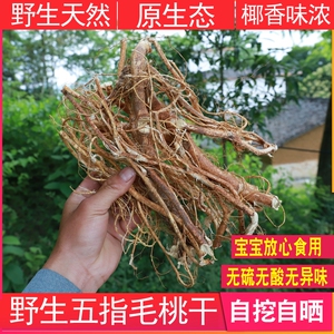 五指毛桃药材农家广东五指毛桃根深山煲汤食材干特产无硫汤料正宗