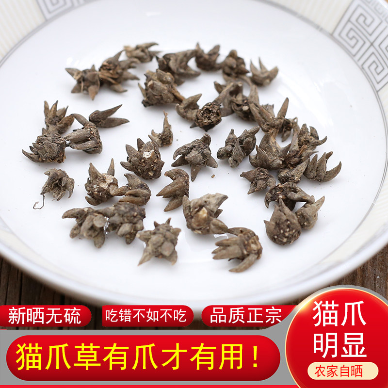 小粒猫爪草深山正品药材农家