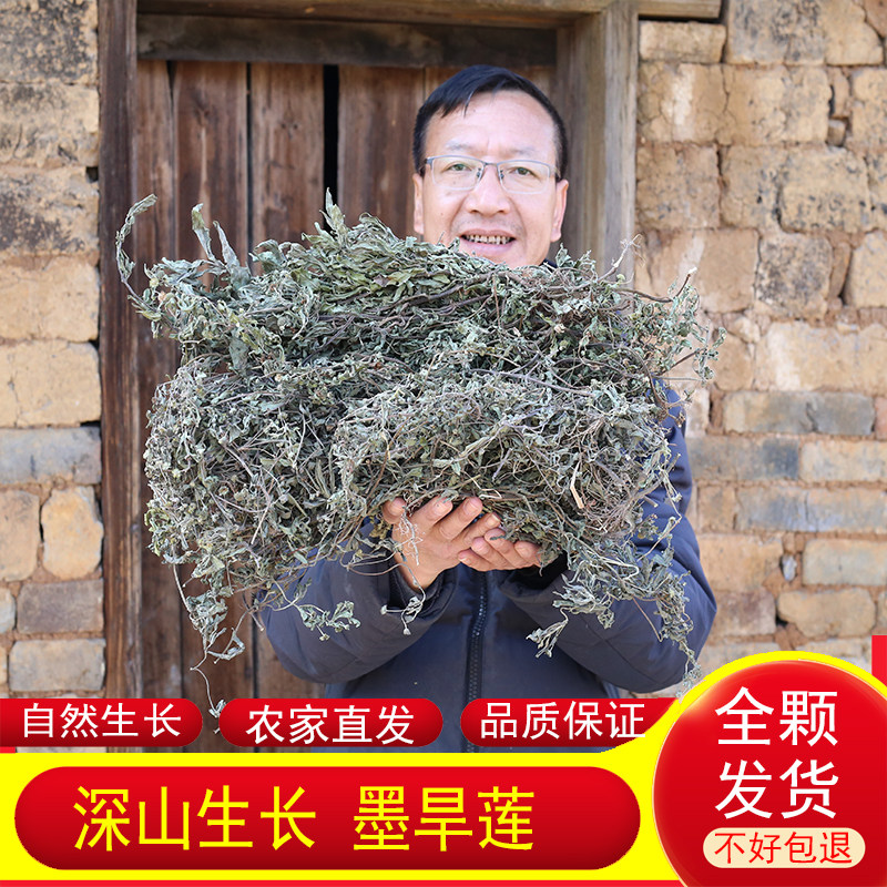 深山墨旱莲正品药材农家自晒整棵旱莲草黑墨新货菟丝子女贞子正宗