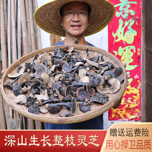 灵芝深山药材整枝农家自晒煲汤料