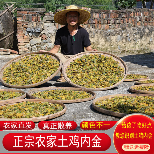 鸡内金农家散养正品药材干货打粉胃口儿童幼儿新货山楂独脚金正宗