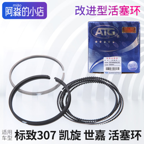 307凯旋发动机活塞环改进型