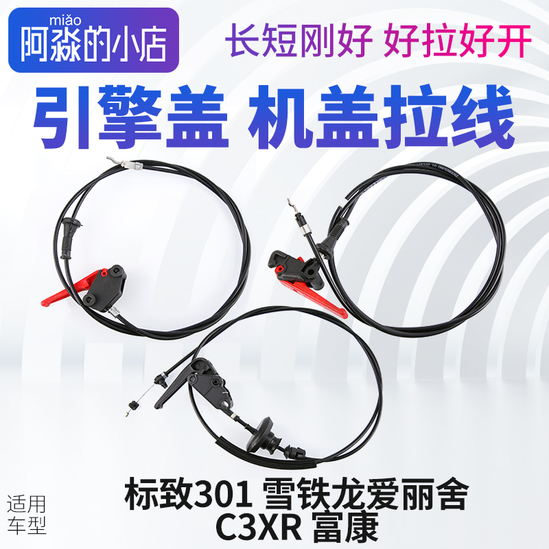 标志301爱丽舍C3XR富康机盖拉线