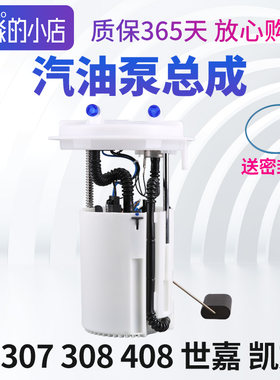 标志雪铁龙电子燃油泵
