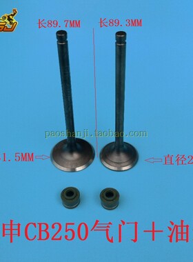 华阳T4正林北海海陵M4贵尊极盗者战狼CQR宗申越野摩托车CB250气门