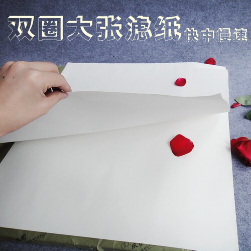 定性滤纸双圈大张滤纸慢中快