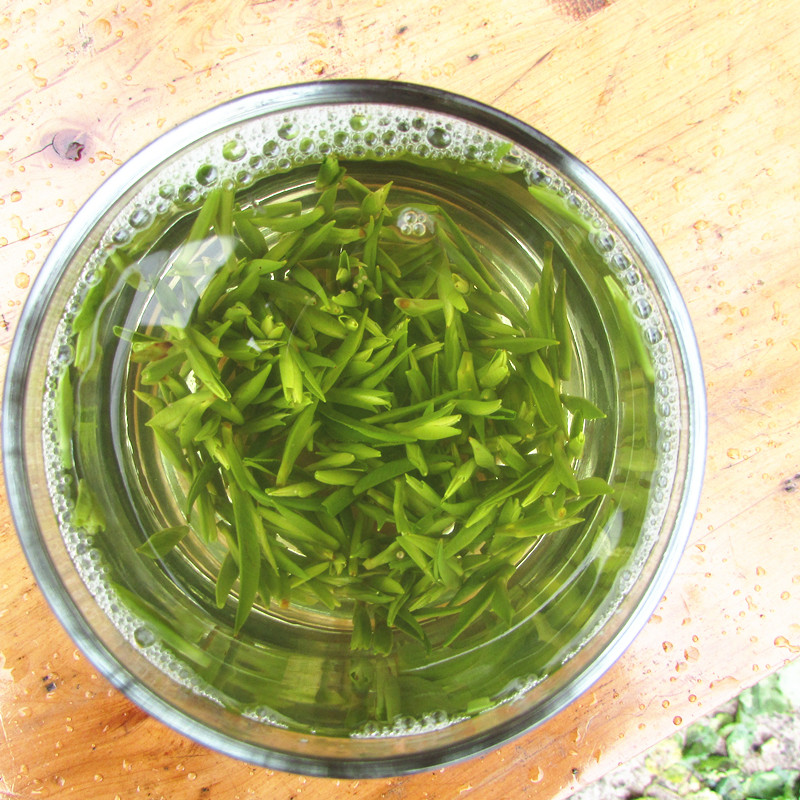 明前炒青春季新款 蒲江雀舌1个月包装袋茶叶新茶特级袋装绿茶