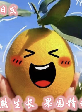 正宗自种植赣南脐橙园（普快）严寒地区的亲请进入小店加单保温膜