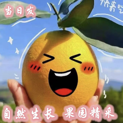 正宗自种植赣南脐橙园（普快）严寒地区的亲请进入小店加单保温膜