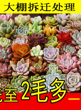 漂亮阳台，窗台办公室