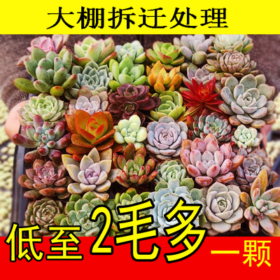 漂亮阳台，窗台办公室