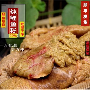 新鲜鱼籽 鲤鱼籽 鲜鱼籽 现杀现取鲜活淡水鱼籽 纯鱼蛋新鲜 鱼卵