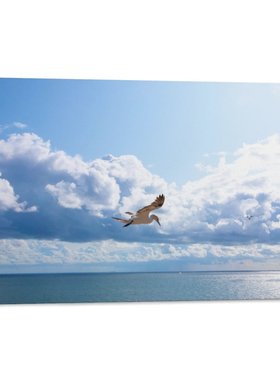 海鸥飞鸟蓝色大海沙滩天空候鸟海岸线背景墙帆布无框画装饰挂画