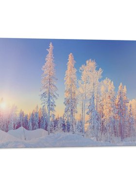 冬天季节winter圣诞白色雪花树房间卧室背景墙帆布无框画装饰挂画