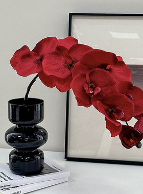 蝴蝶兰红色仿真花兰花假花插花永生花结婚新年装饰品花束摆设摆件