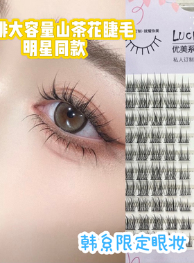 山茶花睫毛新手眼睫毛仿真自然单簇分段 甜妹假睫毛女日系韩妆