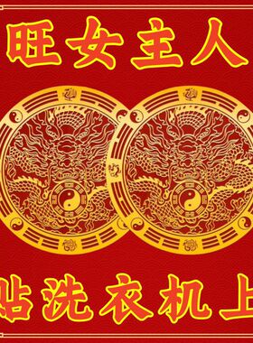 洗衣机青龙贴金属贴避水迎财解洗衣机在西南西北旺女主家具贴门贴