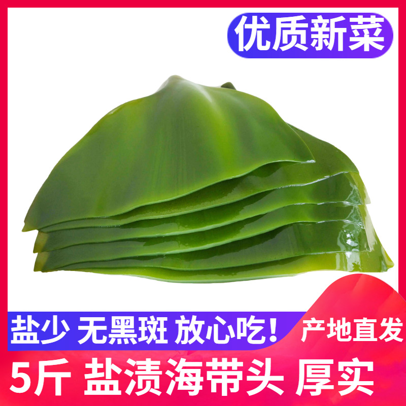 5斤一箱新鲜盐渍海带头