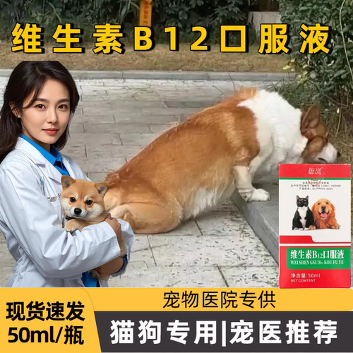 猫狗维生素B12口服液营养补充剂
