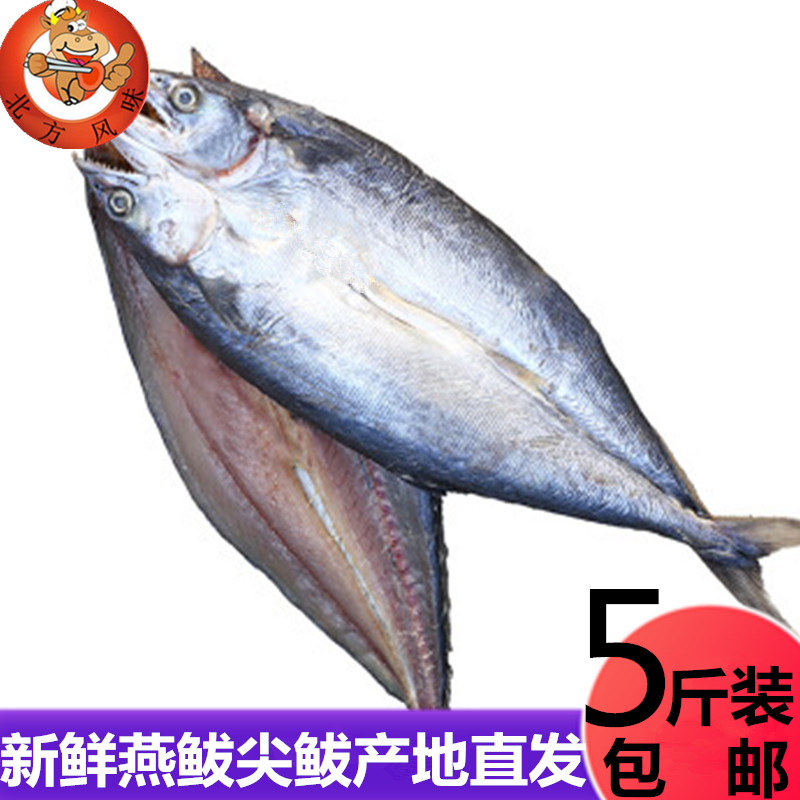 燕尾鲅鲅鱼干辽宁丹东好吃不贵
